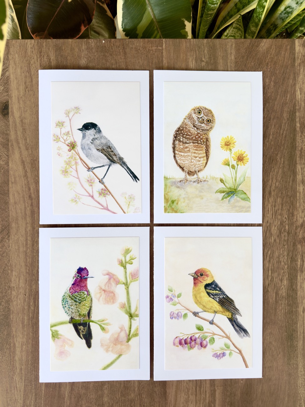 The four bird paintings as a greeting card set