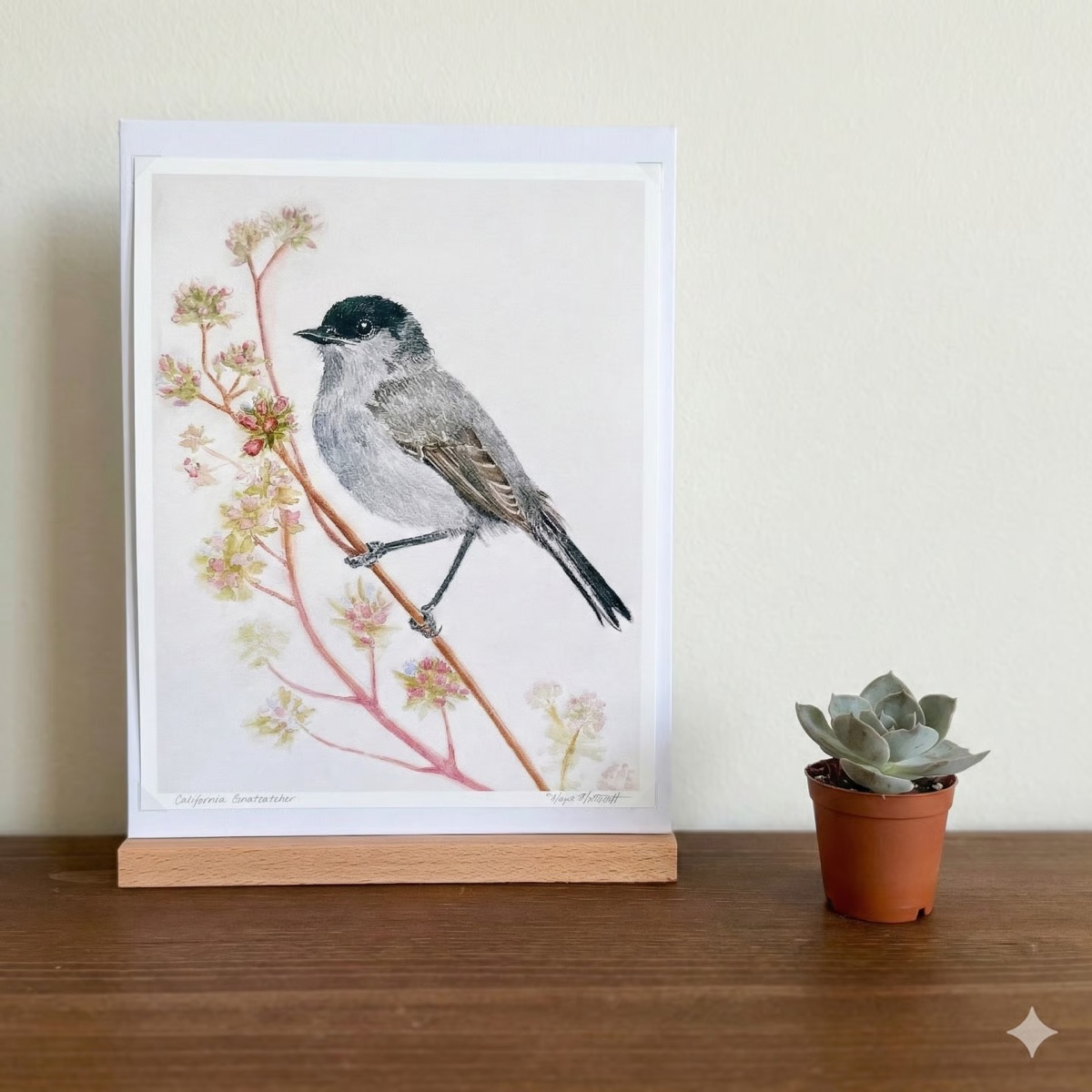 California Gnatcatcher print displayed on a shelf with a succulent
