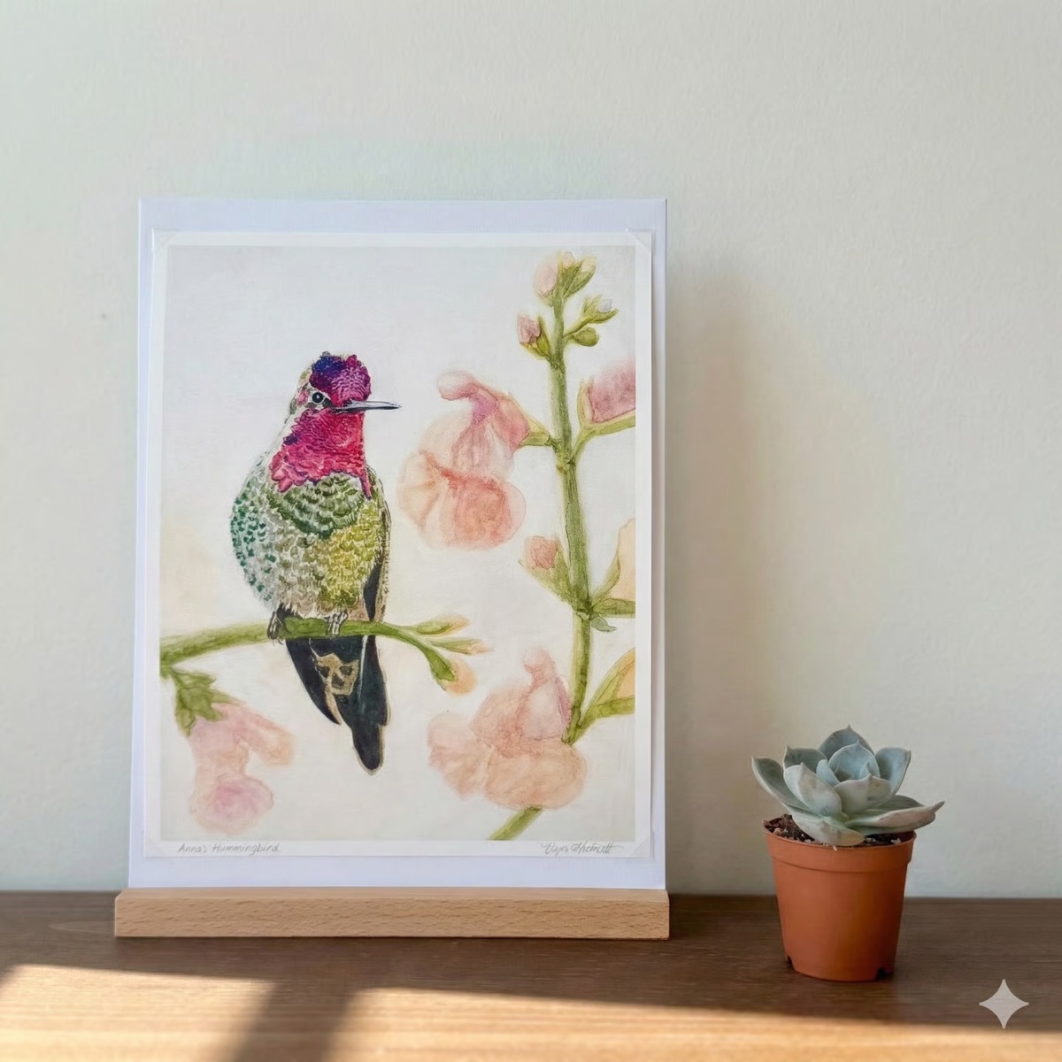 Anna's Hummingbird print displayed on a shelf with a succulent