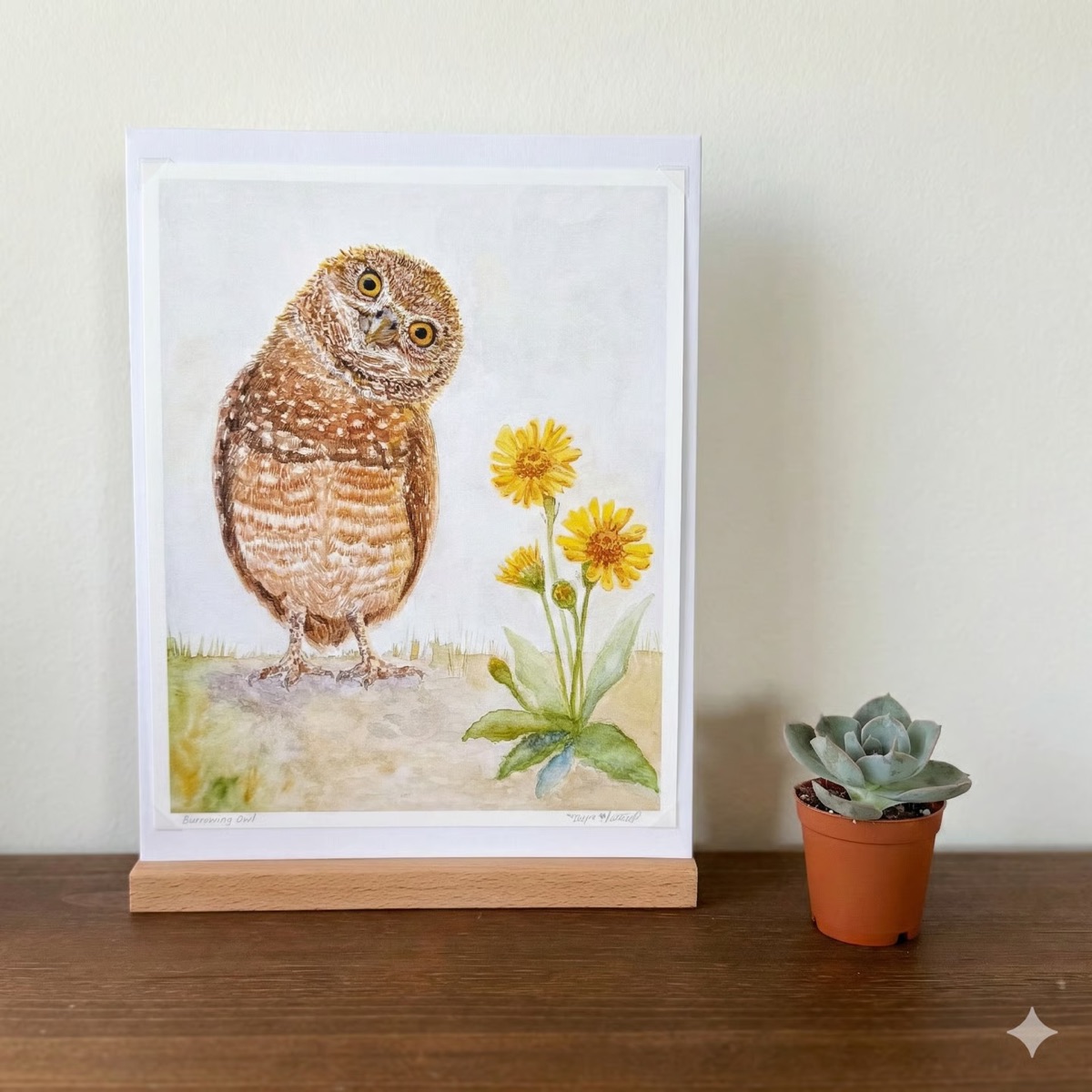 Burrowing Owl print displayed on a shelf with a succulent