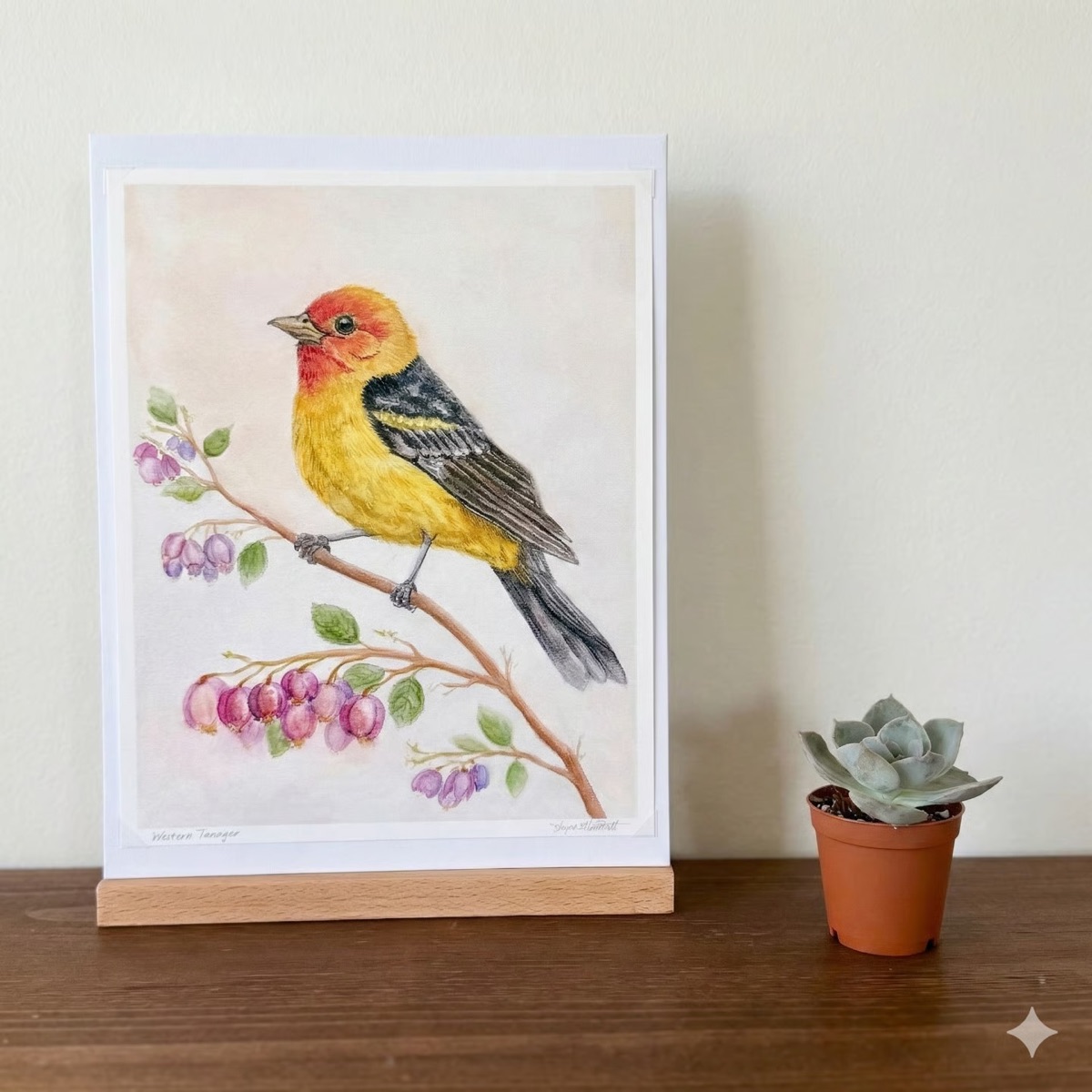 Western Tanager print displayed on a shelf with a succulent